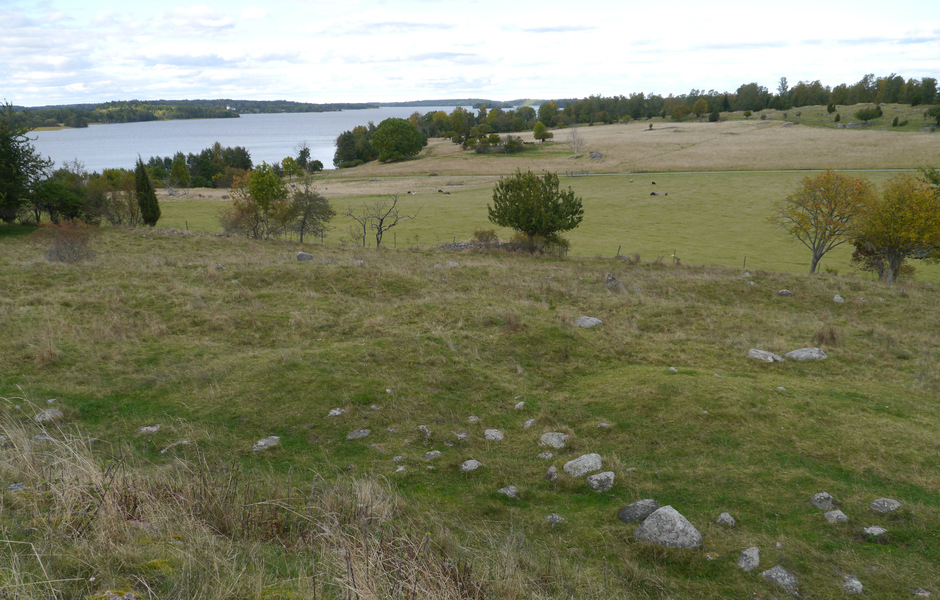 Vy över gravfältsavsnittet Norr om Borg. Här undersökte Hjalmar Stolpe drygt 200 gravar. Flera av dessa var rikt utrustade kammar- eller skelettgravar. Foto: Jonathan Olsson/SHM.