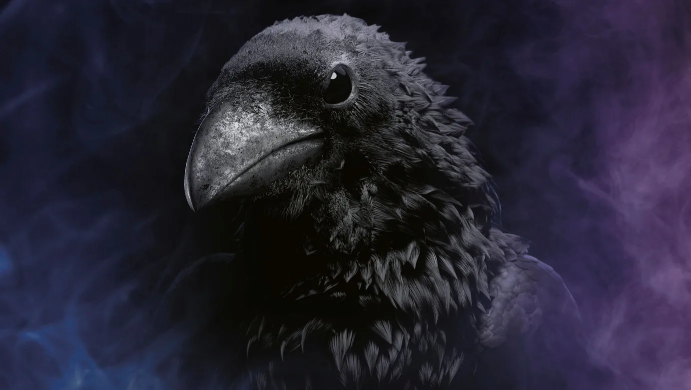 A black raven.