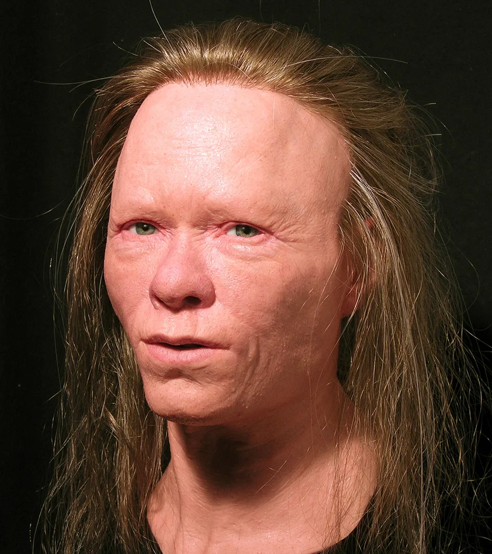 Ett grovt ansikte med hög panna inramat med spretigt hår