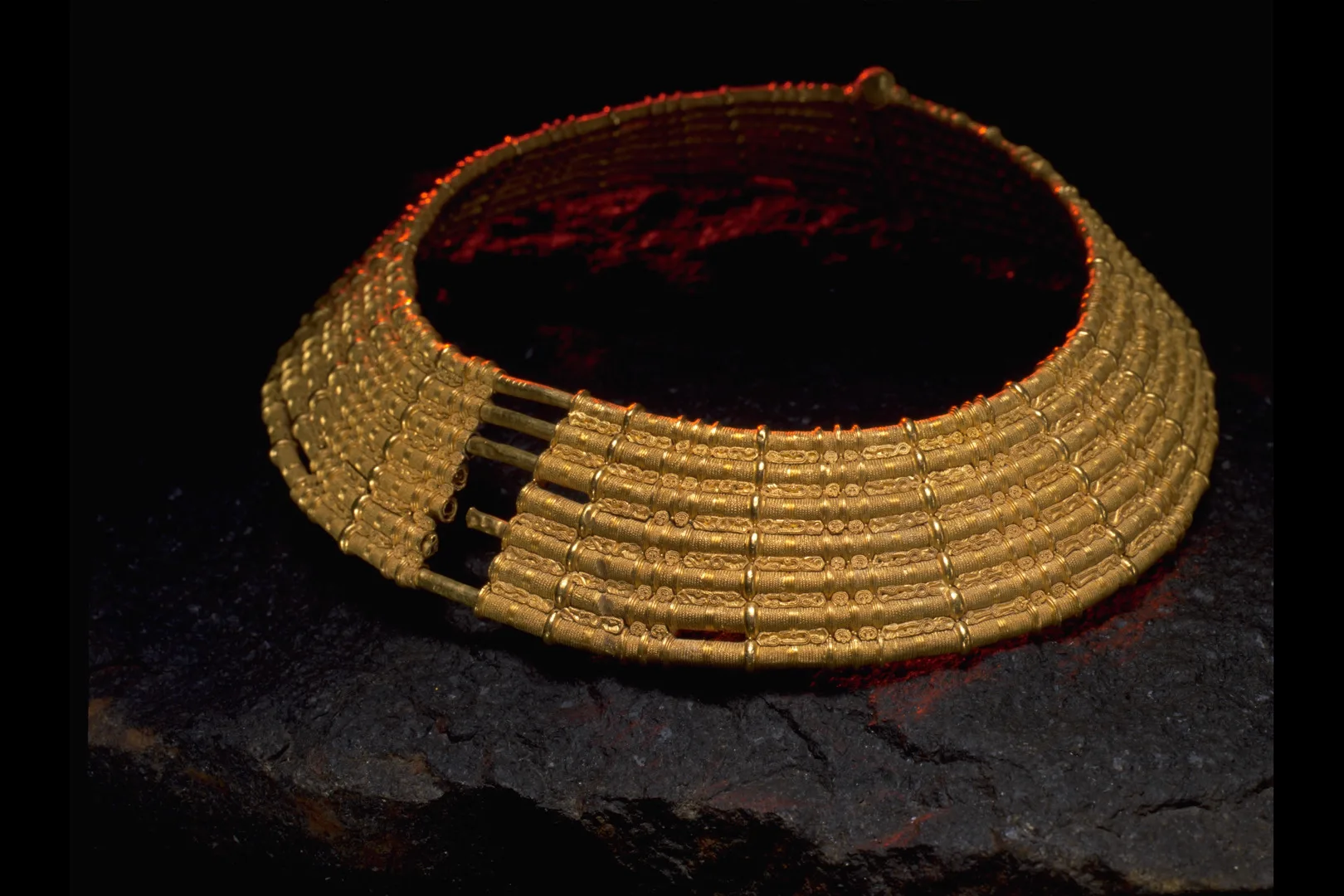 En sjuringad guldhalskrage.