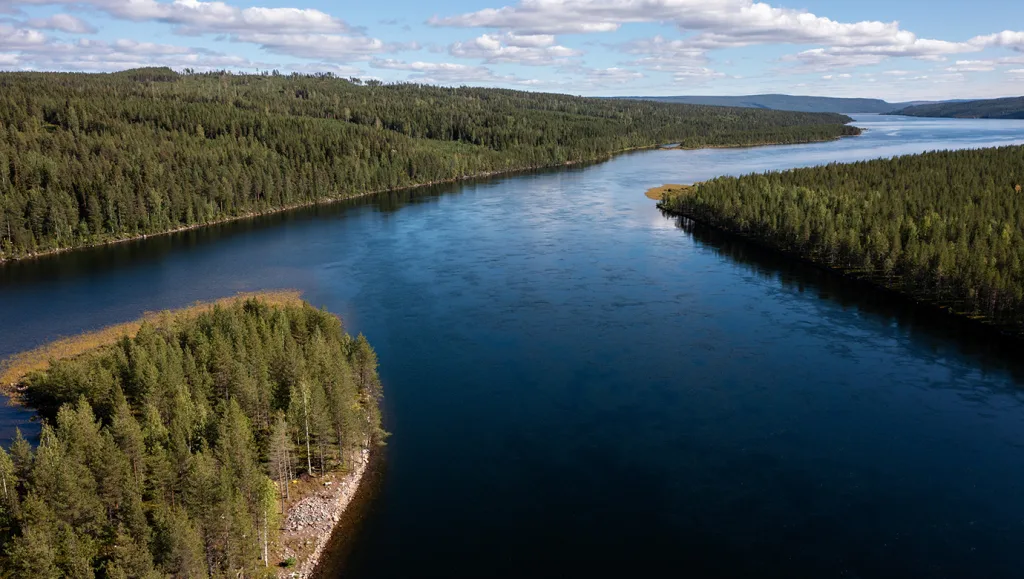 Blått vattendelta och kullar med barrträd