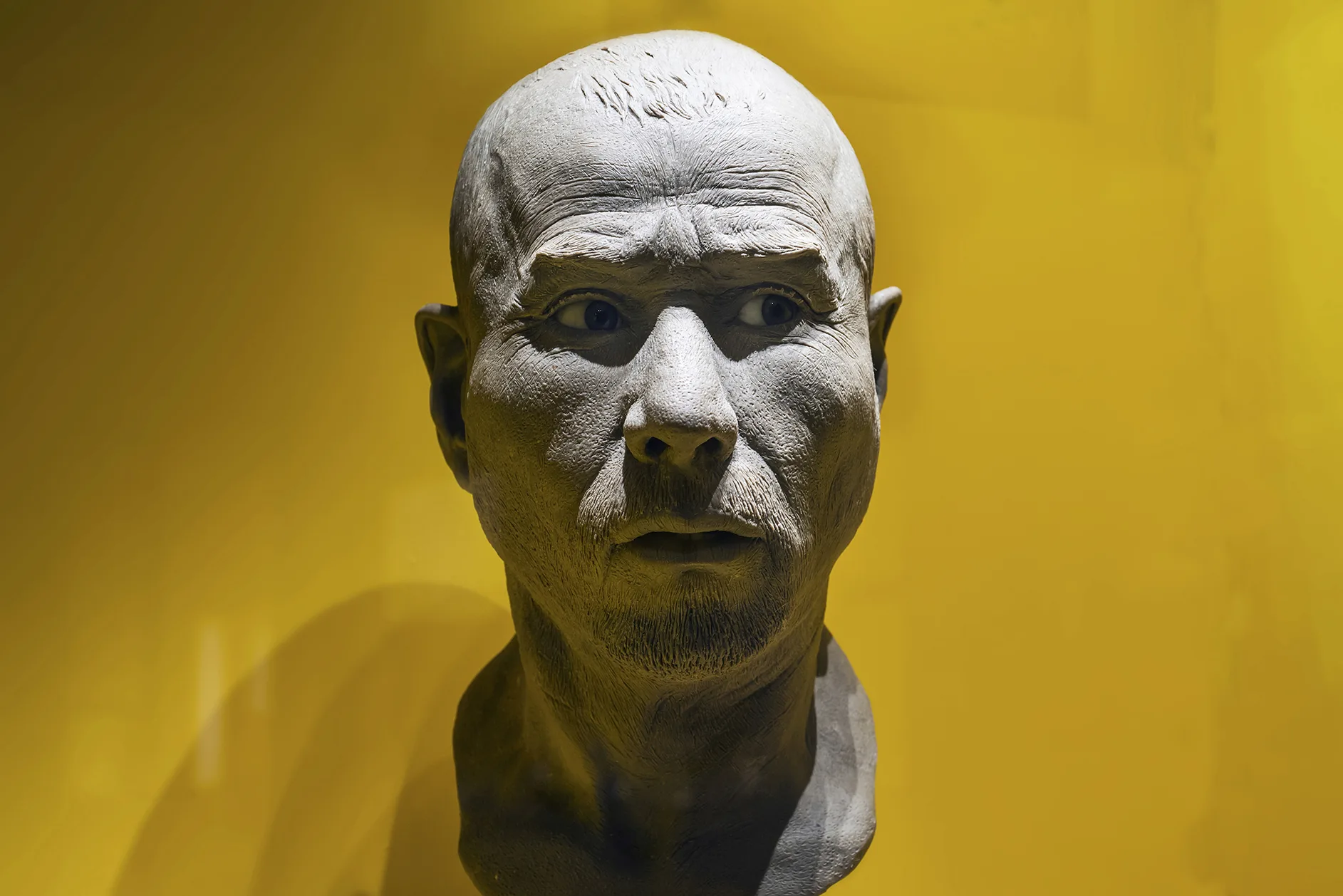 The face of a man with short cut hair and beard stubble. 