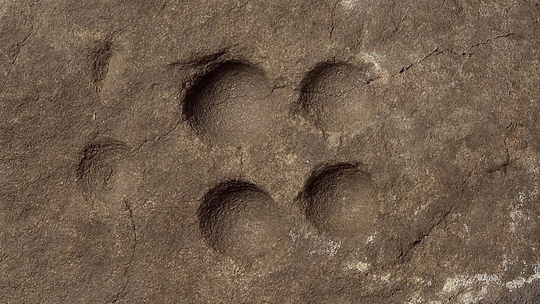 Sten med inhuggna små gropar