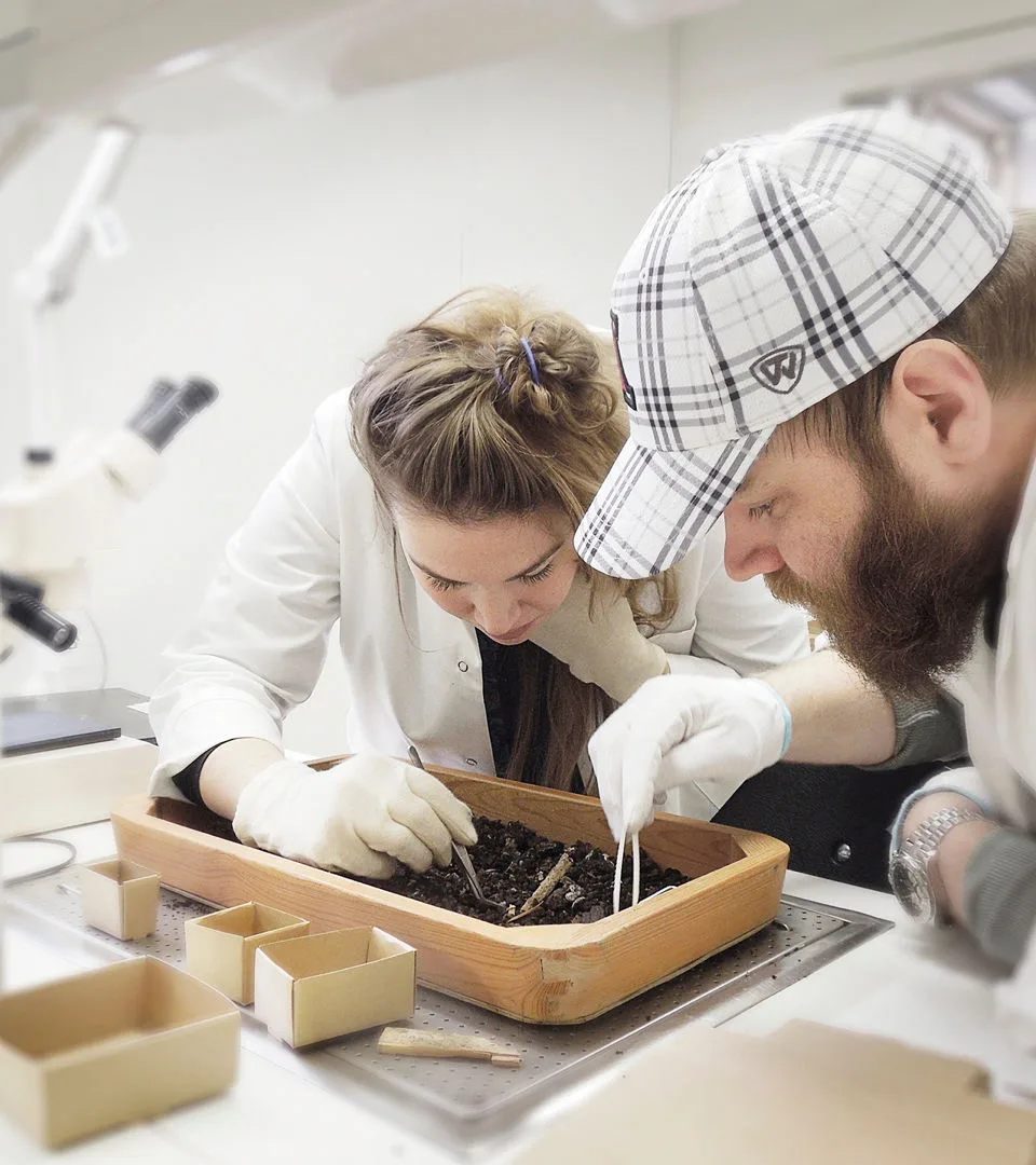 Two osteologists examining human remians 