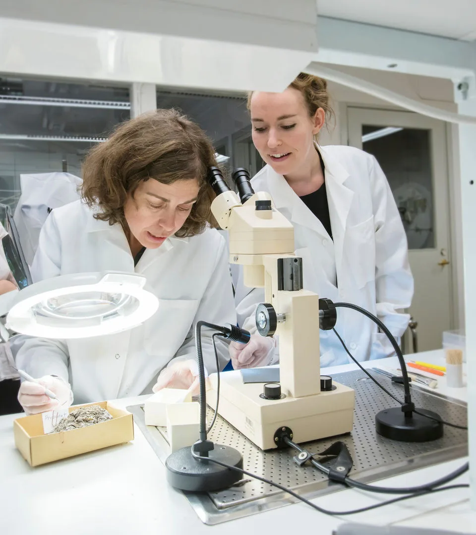 Two researchers working at the museum.