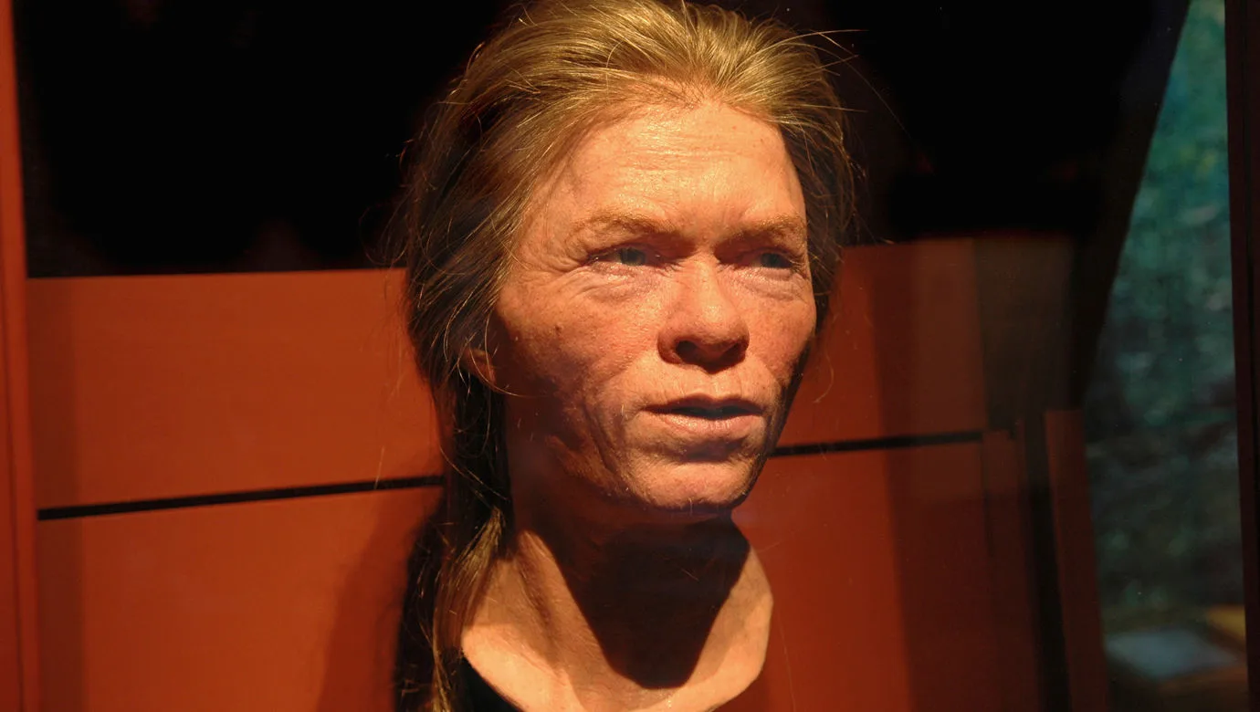 Reconstruction of the woman from Barum.