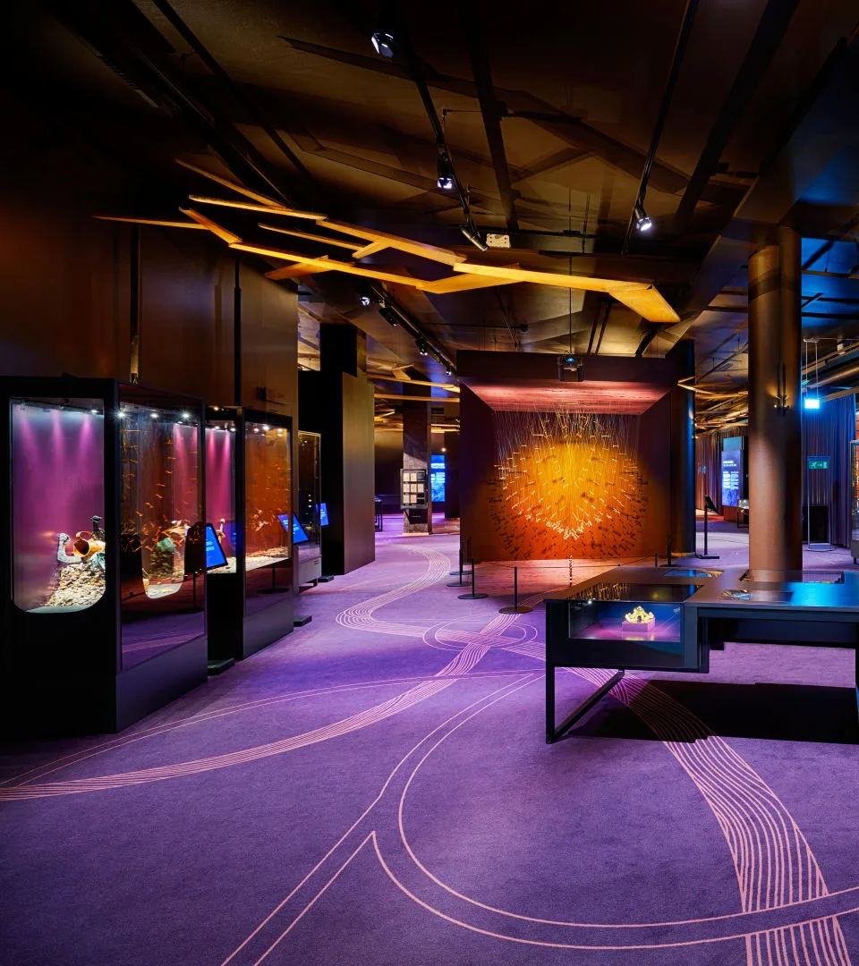 Exhibition room with purple carpet and viking objects