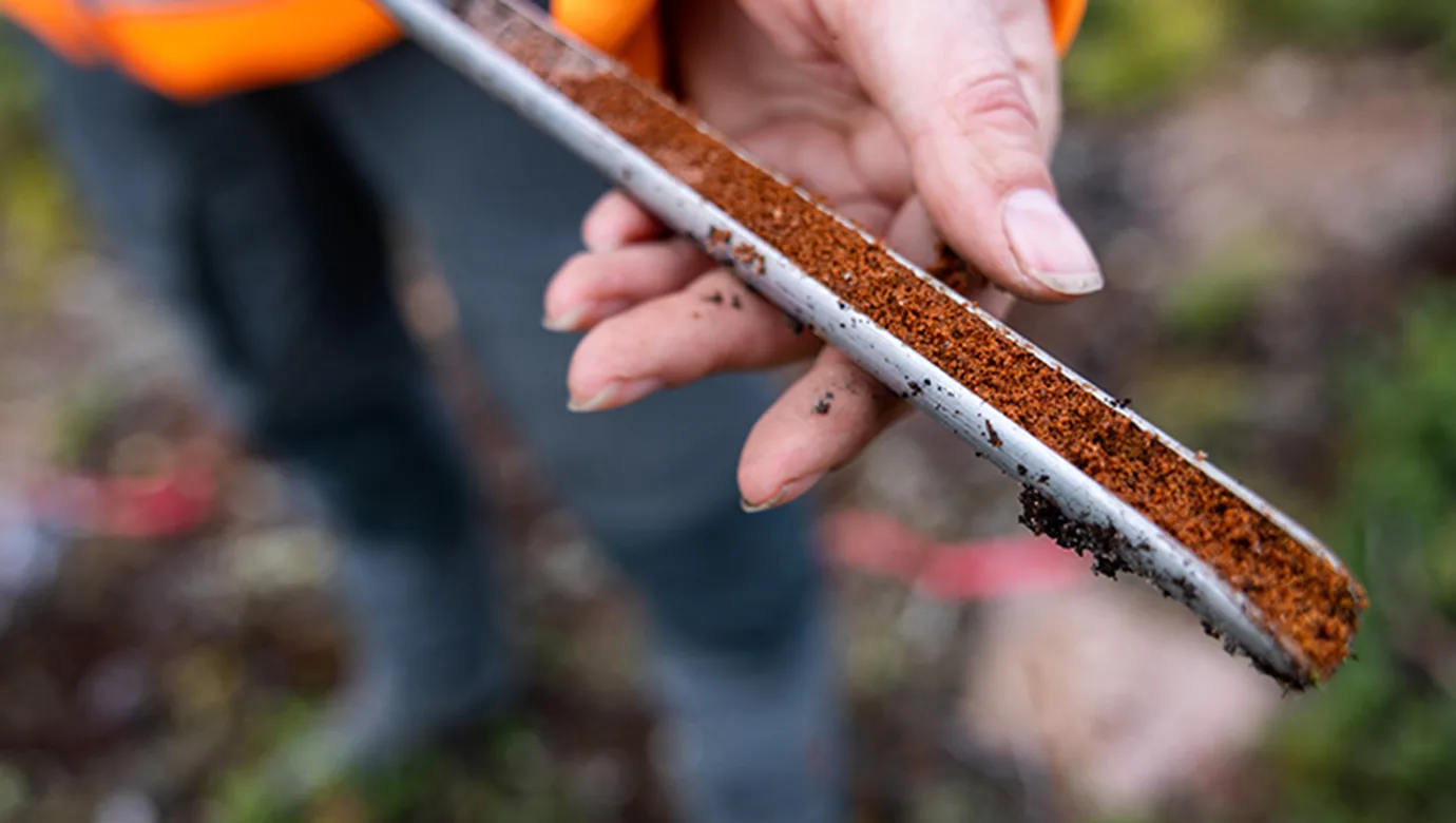 Ett rör fyllt på längden med röd jord