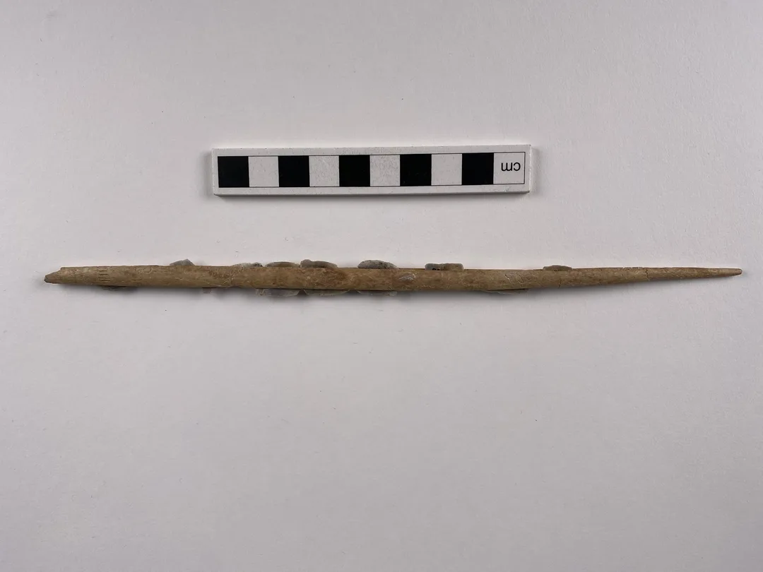 A pointy stick with small flint edges attached.