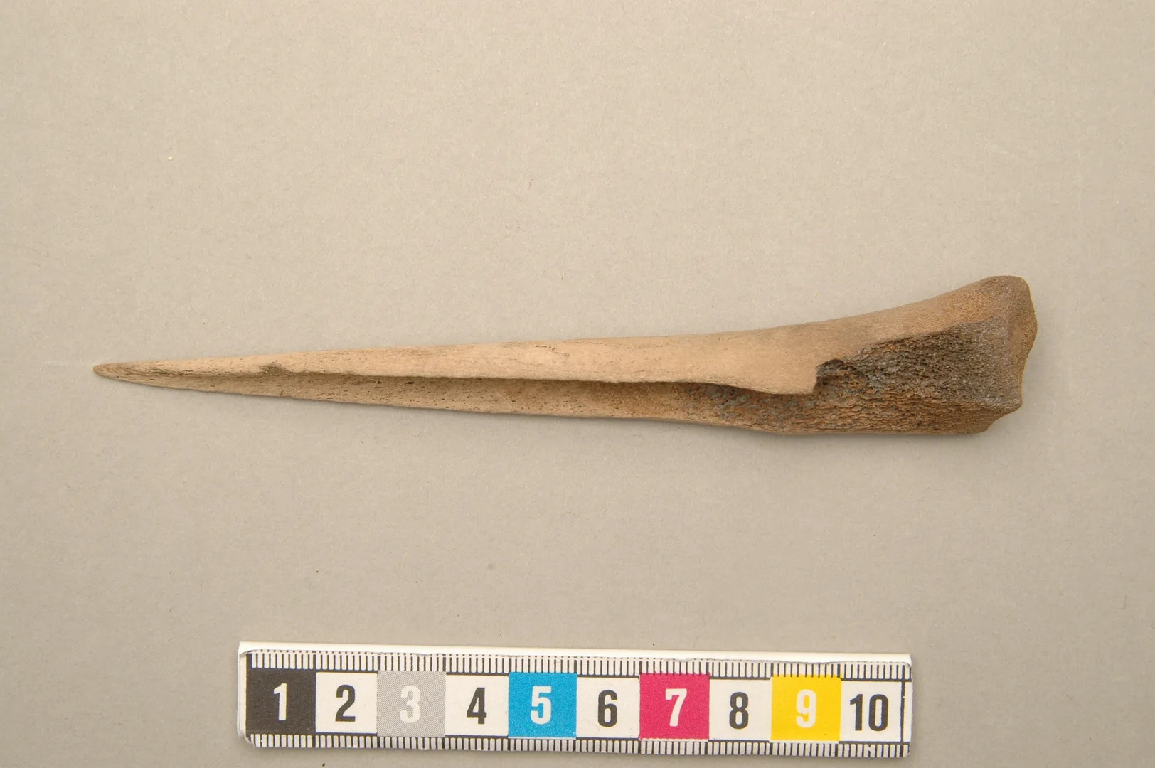 A piece of a bone shaped into a sharp point.