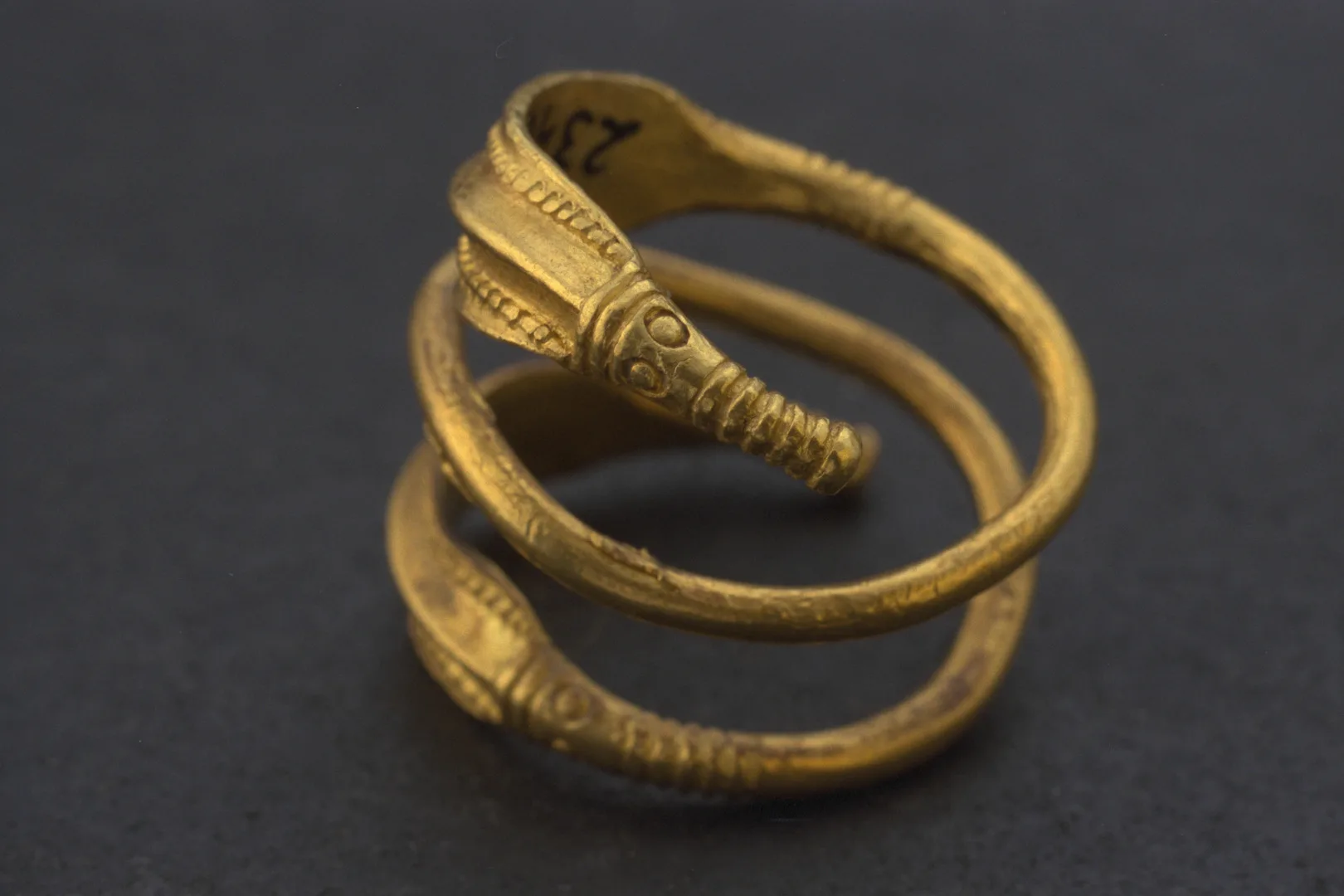 A gold ring coiling two and a half times its circumference.