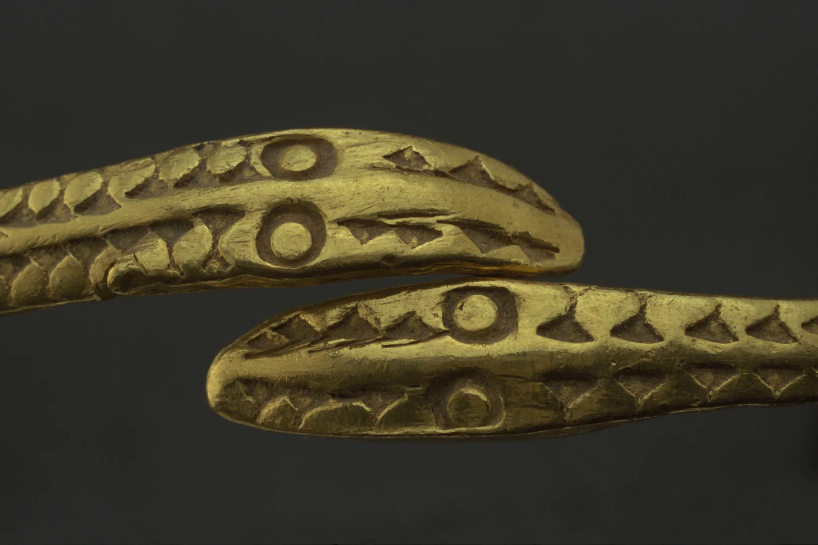 Detaljer av guldring med ändar som är formade som ormhuvuden.