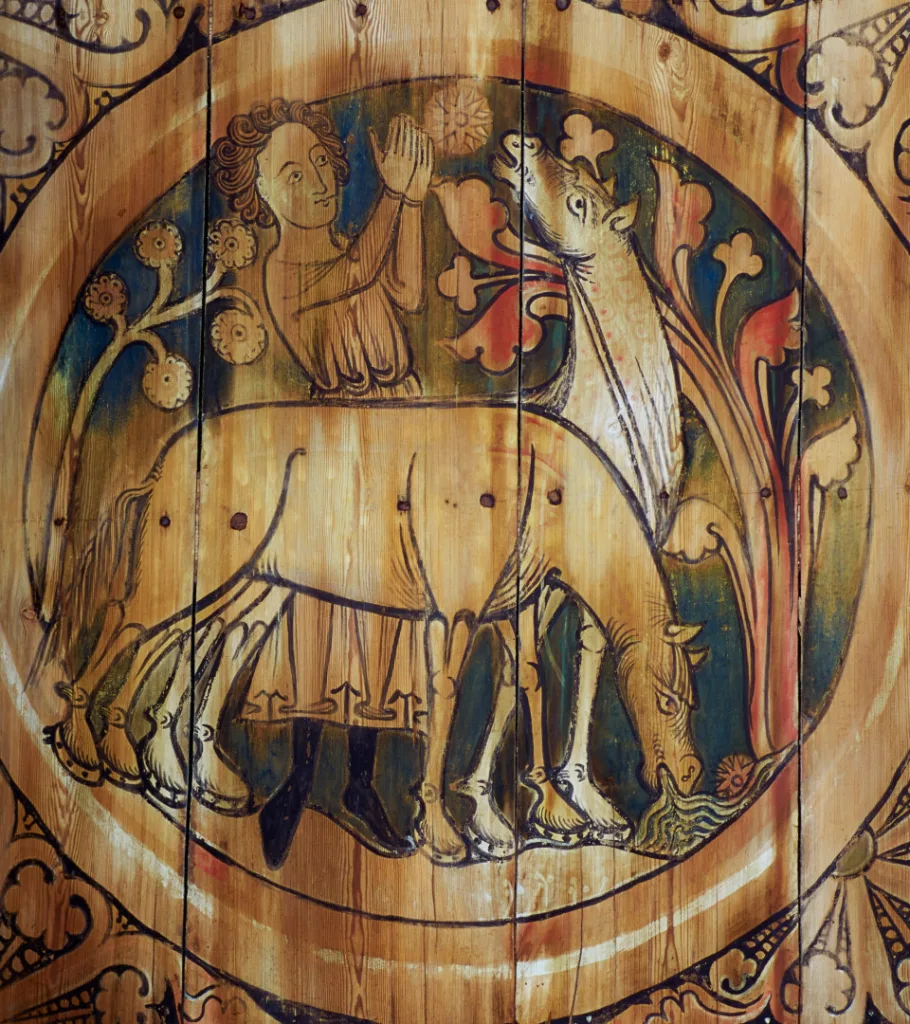 A boy feeding a horse