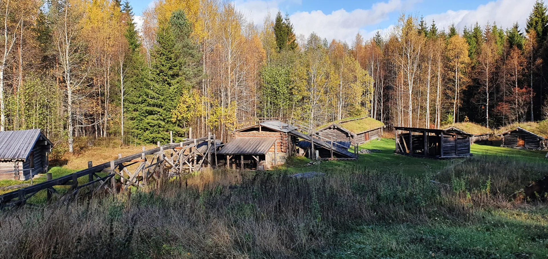 Trähus med grästak i glänta med träd i höstfärger.
