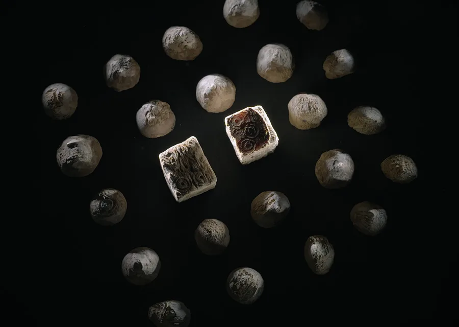 Vikingatida spelpjäser