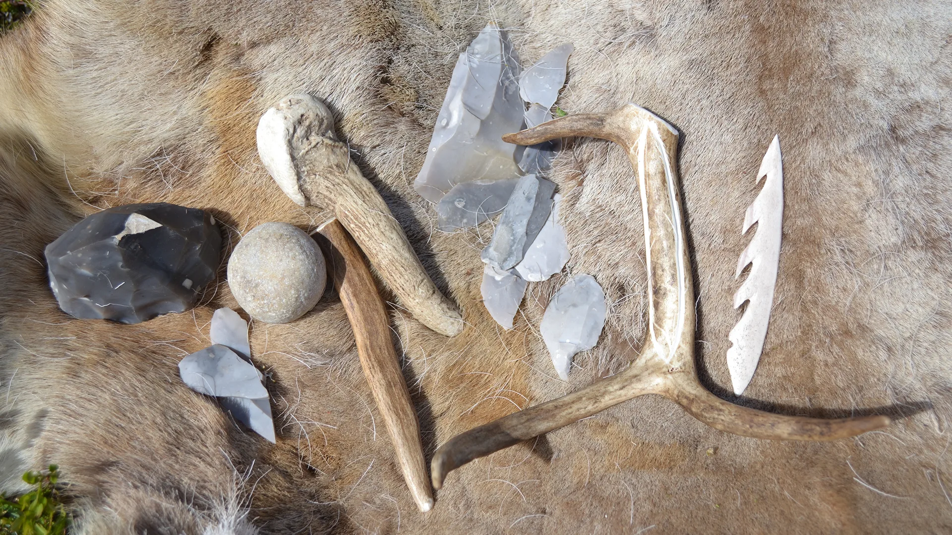 Verktyg på renfäll