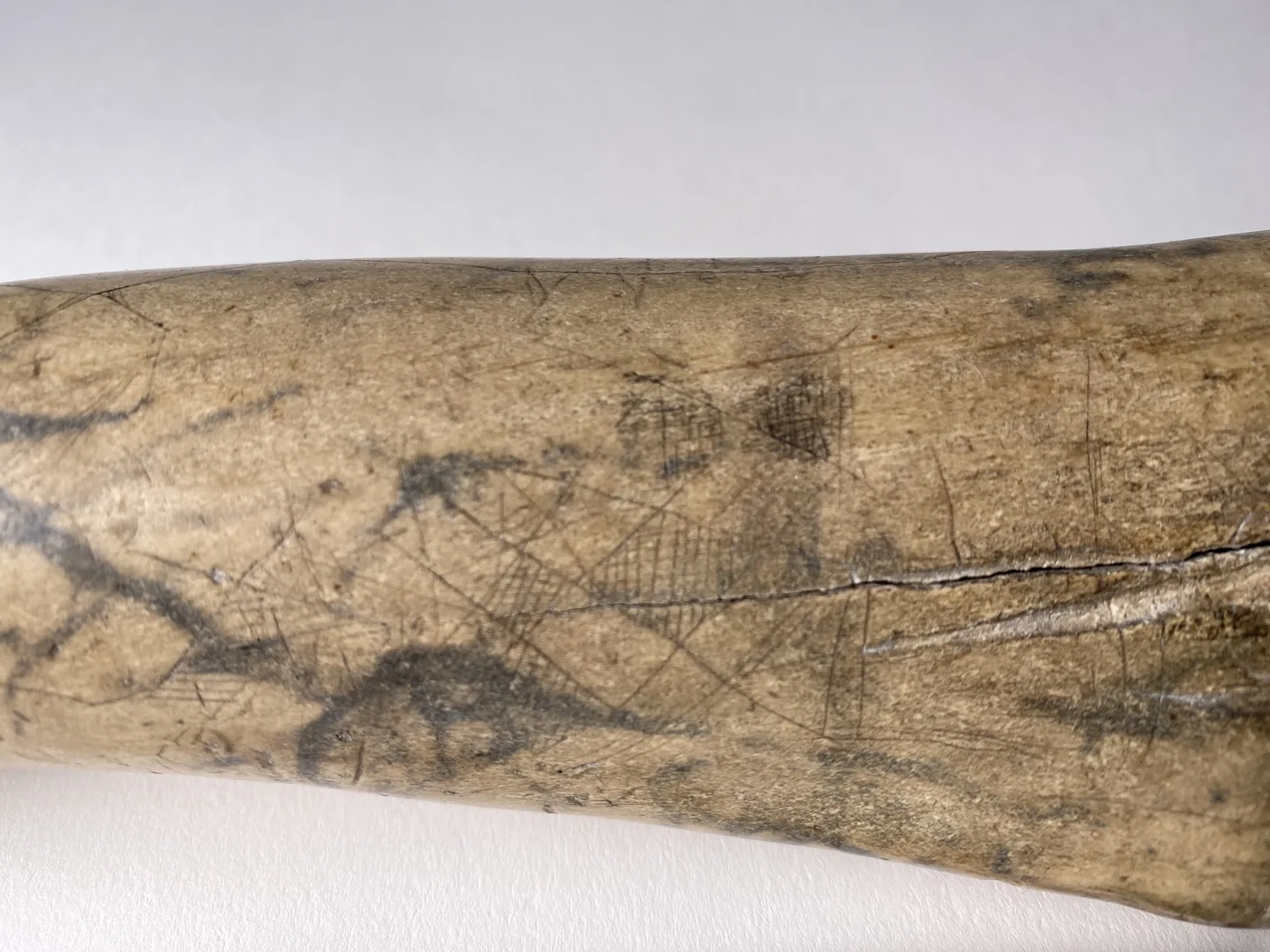 A polished piece of bone with engravings