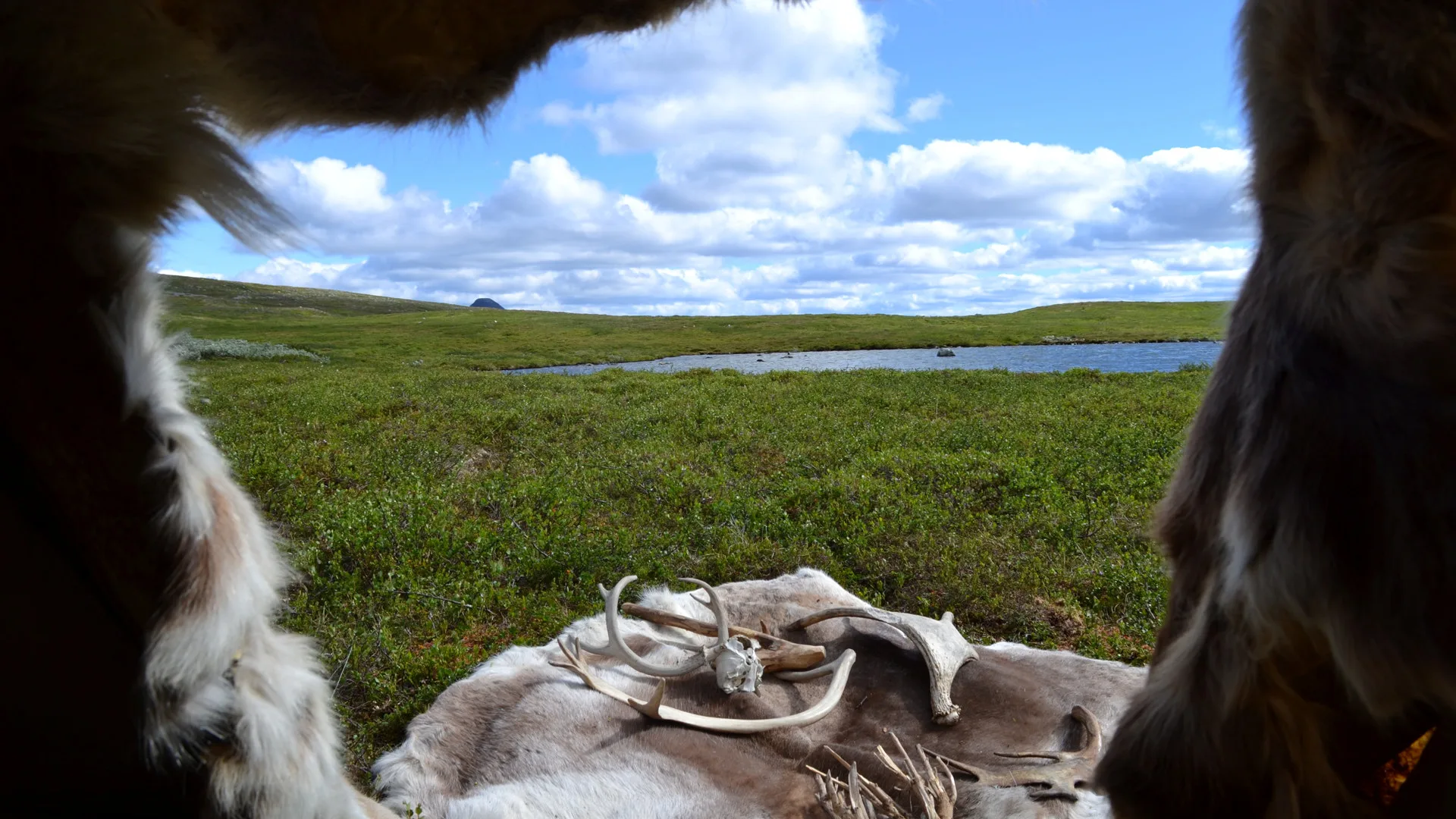 animal skin and horns lying on the ground infront of an tent entrance