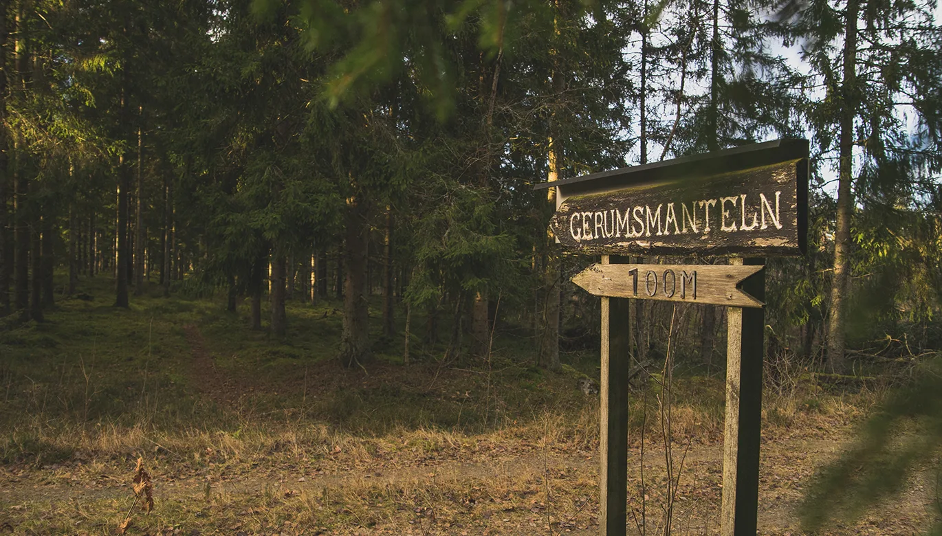 Skogsbryn och en skylt med texten Gerumsmanteln 1000 meter.