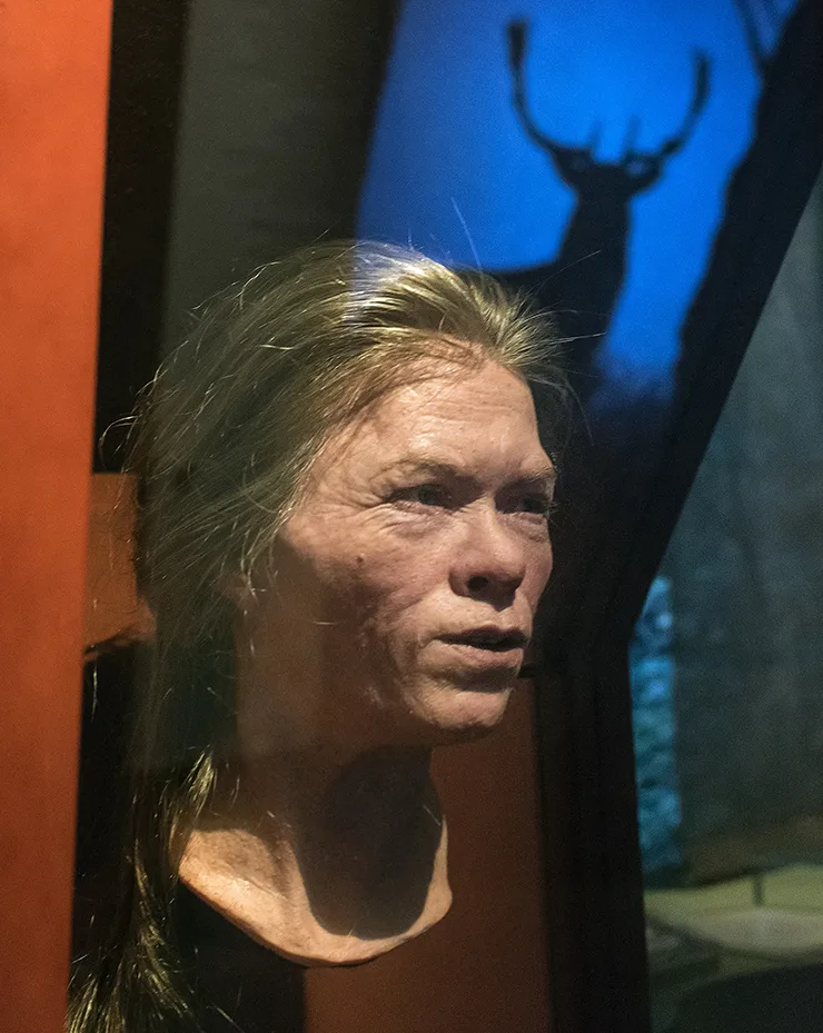 Ett kvinnohuvud i konstmaterial