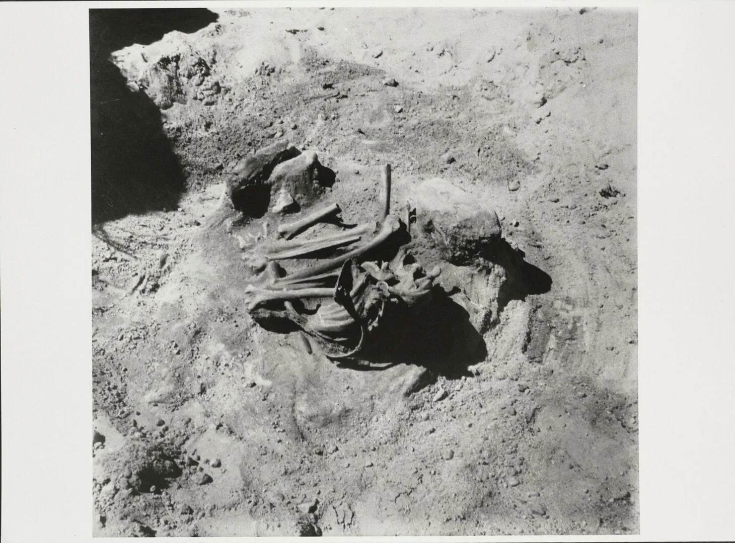 0C9CF250922F41AAB16768B3FE44D5EB