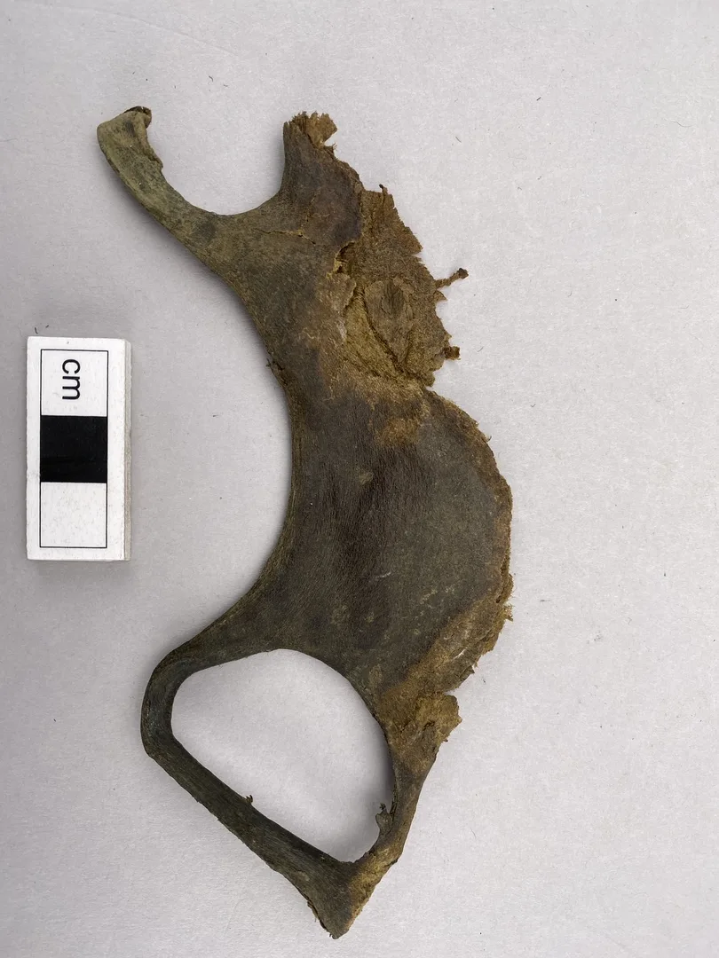 Fragment
