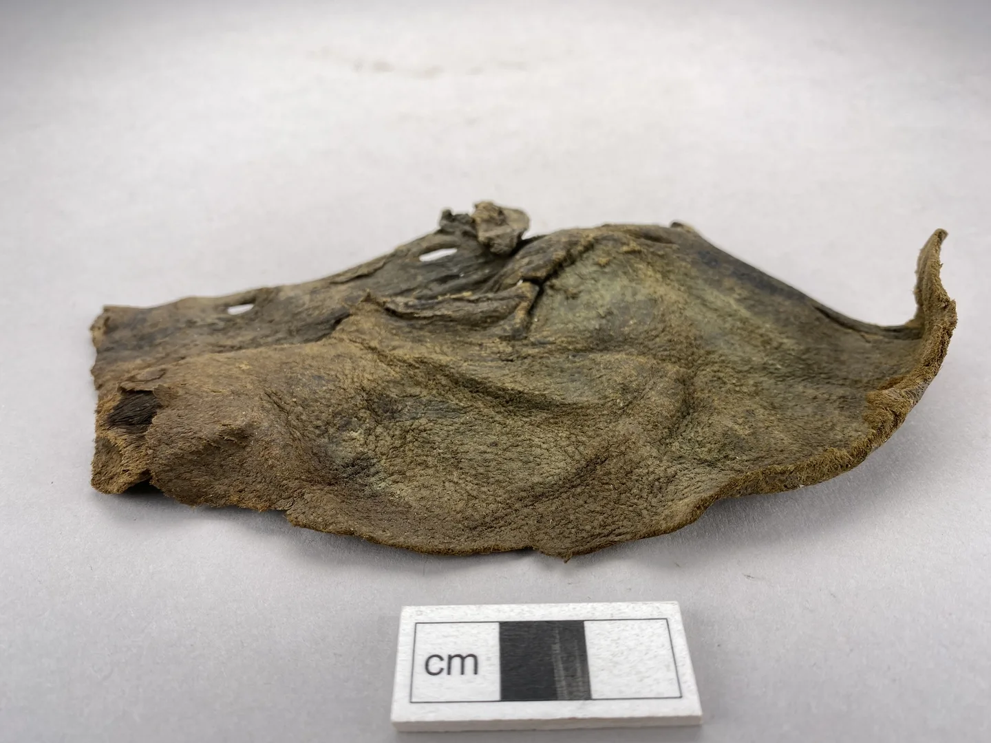 tygfragment