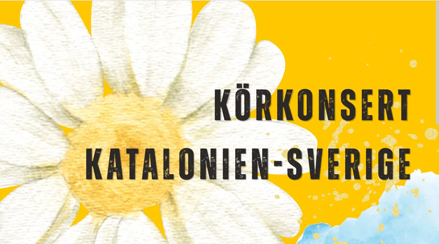 HST_Körkonsert 29 augusti